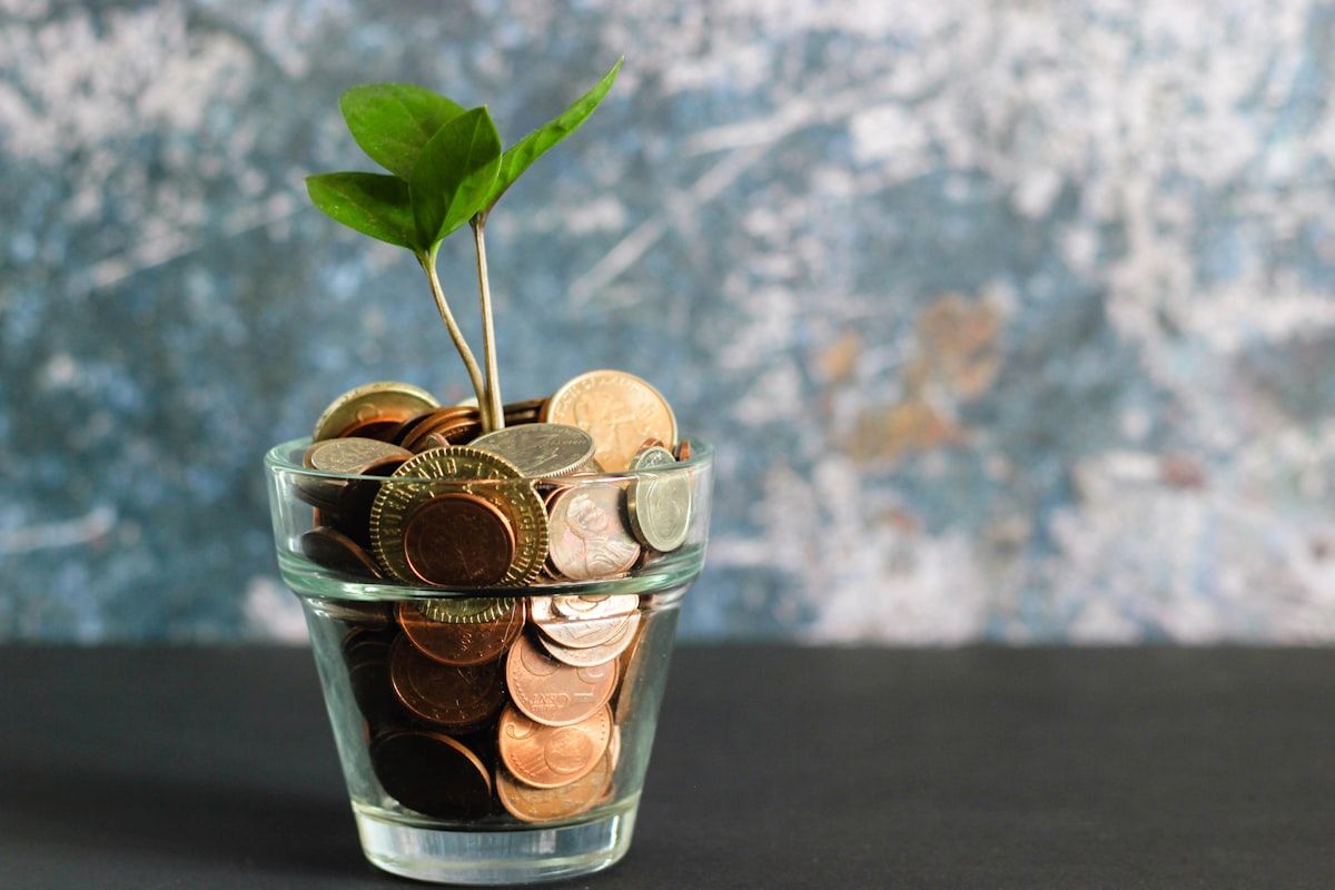 How Compound Interest Builds Wealth