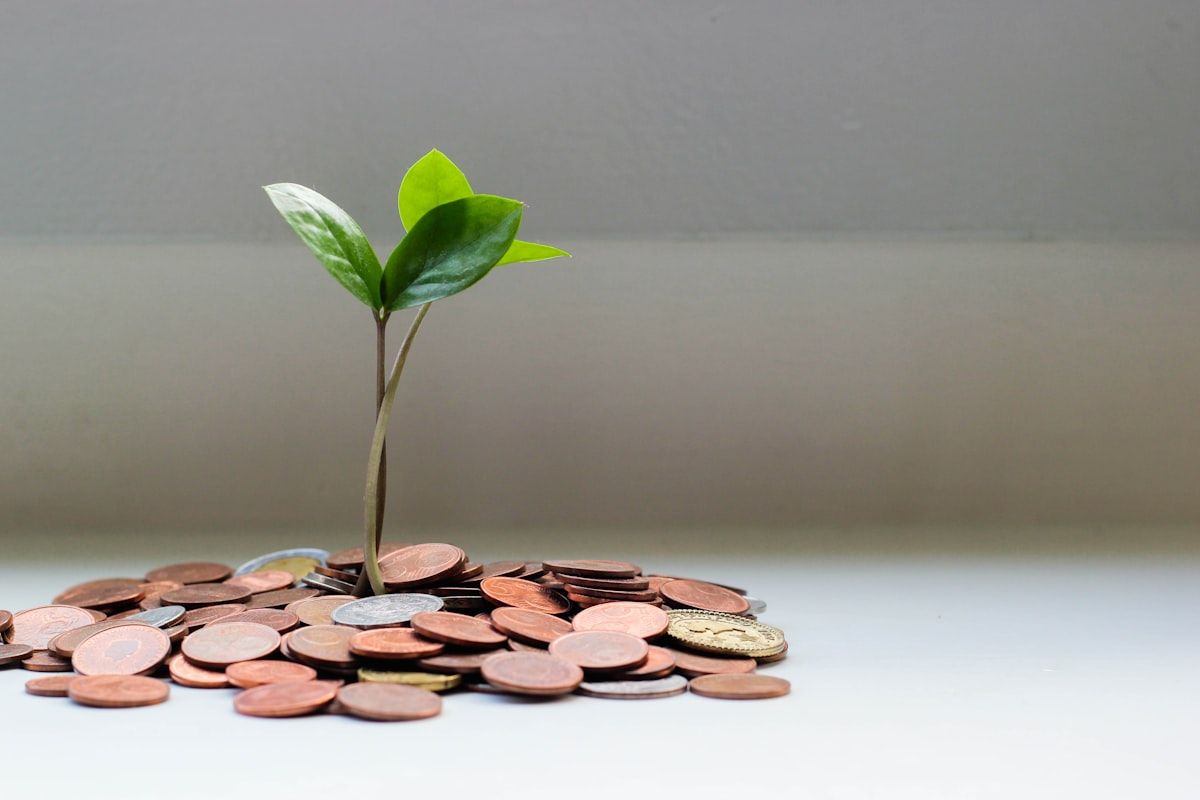 REIT Dividends Explained: How They Work